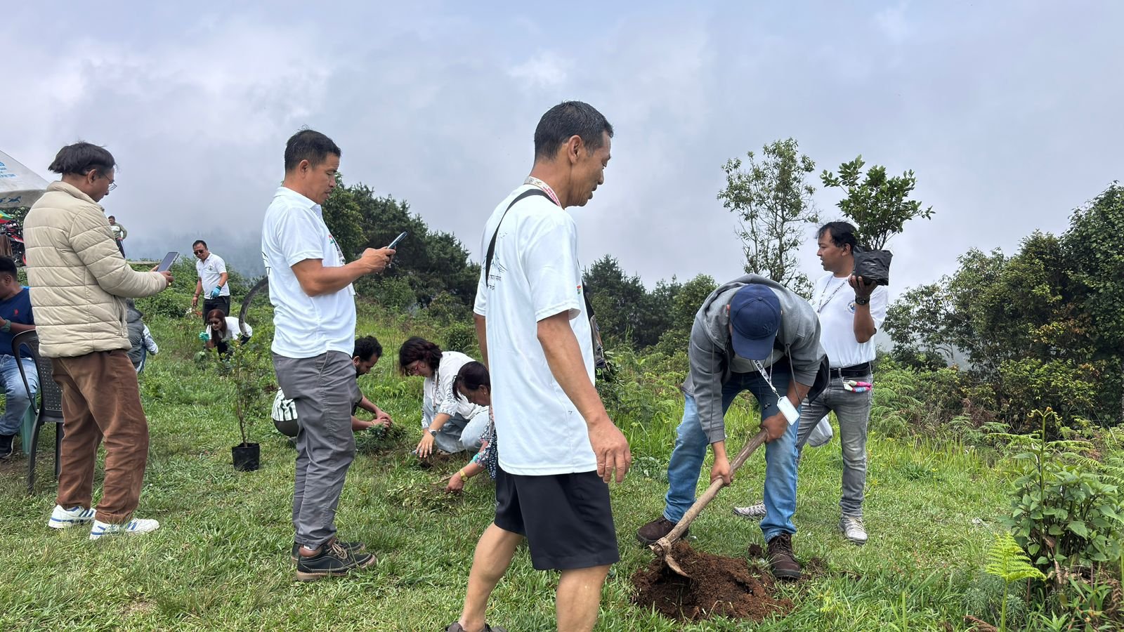 Plantation